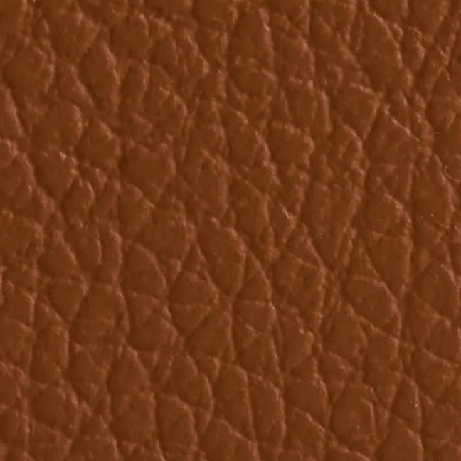 Bi-Fold Wallet in Acorn